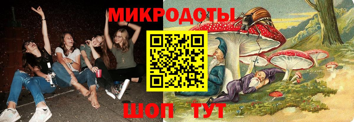 Галлюциногенные грибы Psilocybine cubensis Белово