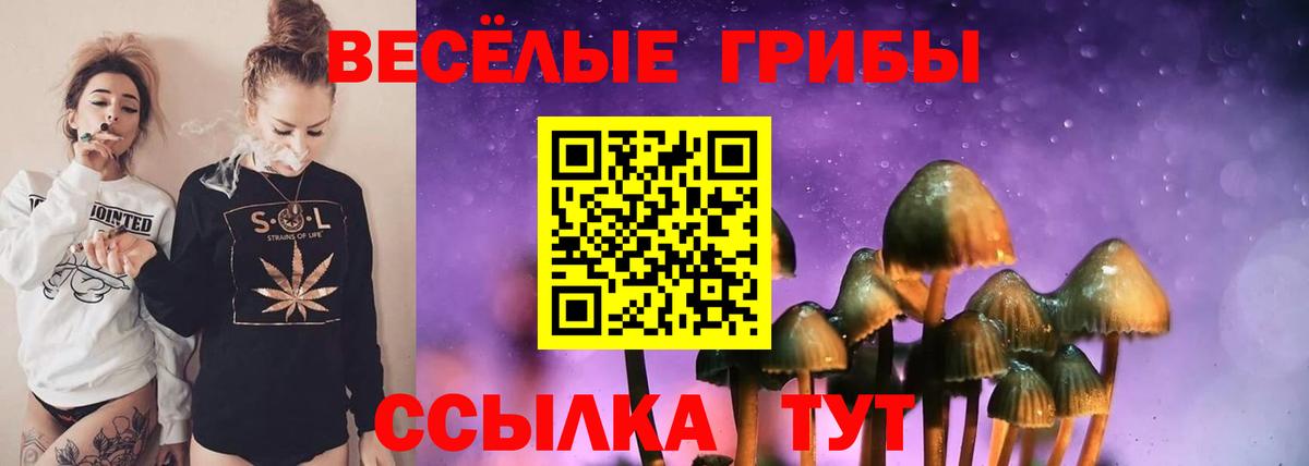 Белово  что такое   Вход с VPN  Галлюциногенные грибы мухоморы 