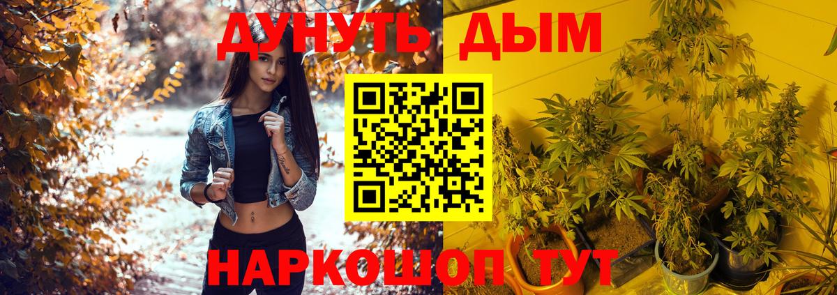 Канабис OG Kush  Конопля конопля  Бошки Шишки VHQ  Белово  Вход с VPN 